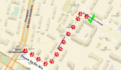 Tari Tour new office map