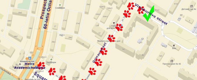 Tari Tour new office map