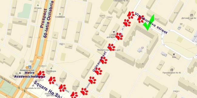 Tari Tour new office map
