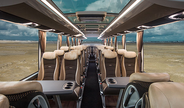 Umbrella coach