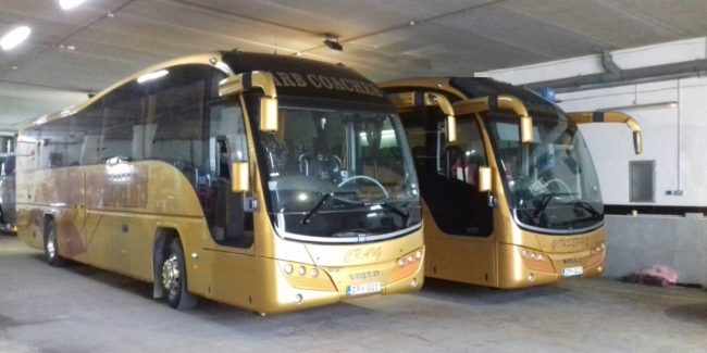 Malta coach