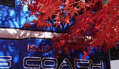 Japan Travel Coach Hire
