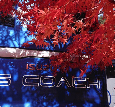 Japan Travel Coach Hire