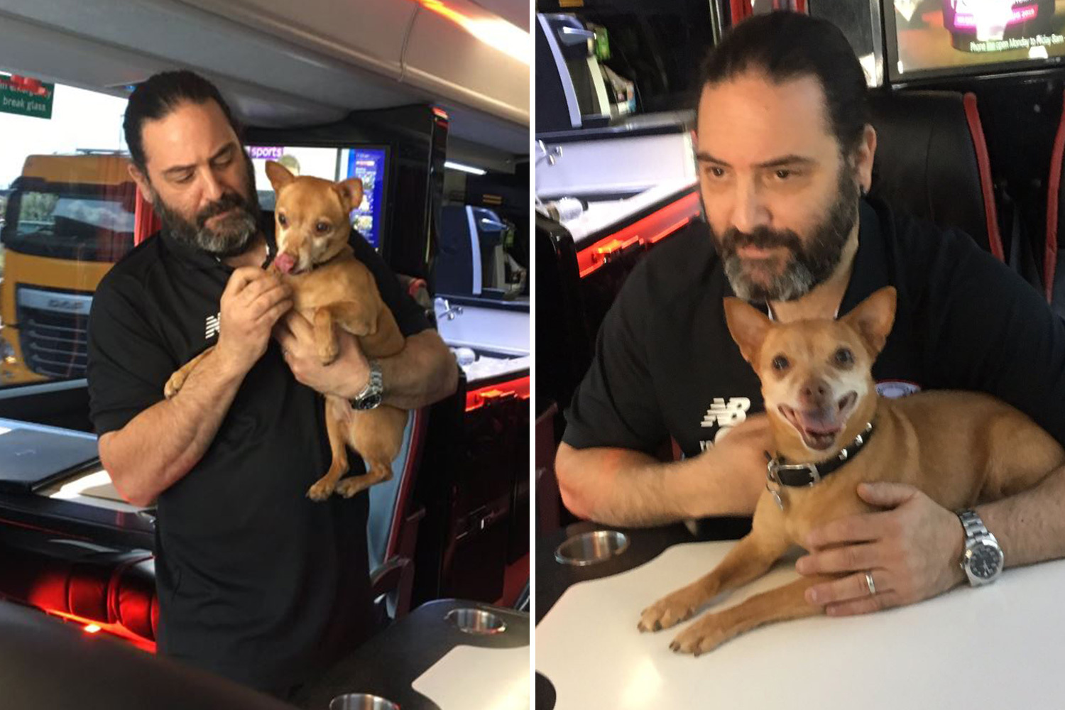The Orient team dog