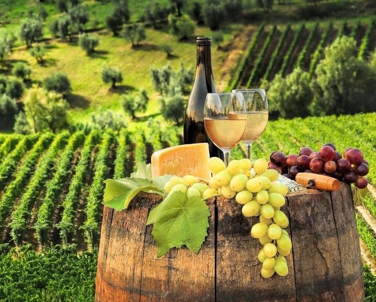 Transylvania Wine Tours Title